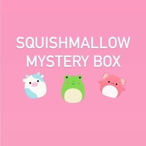 Mystery Squishmallows Box📦